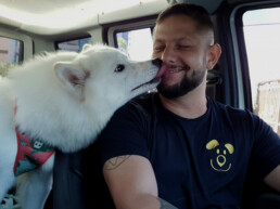 cachorro-beijando-motorista-moovipet
