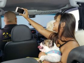 mulher-cachorro-tirando-foto-selfie-carro