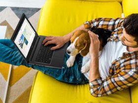 jovem-com-cachorro-e-notebook-no-sofa