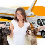 carro-aviao-mulher-cachorros-moovipet