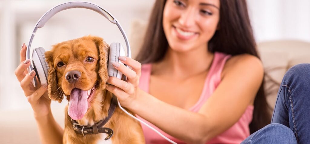 cachorro-ouvindo-musica-com-tutora