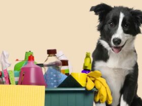 cachorro-com-produtos-de-limpeza
