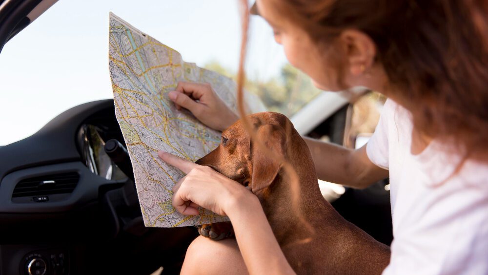 tutora-e-cachorro-localizando-a-melhor-rota-no-mapa