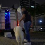 motorista-moovipet-realizando-protocolo-de-parada-e-pernoite-com-cachorro