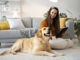 cachorro-feliz-com-tutora-mulher-sala-de-estar