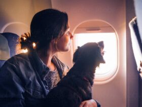 mulher-viajando-de-aviao-com-cachorro