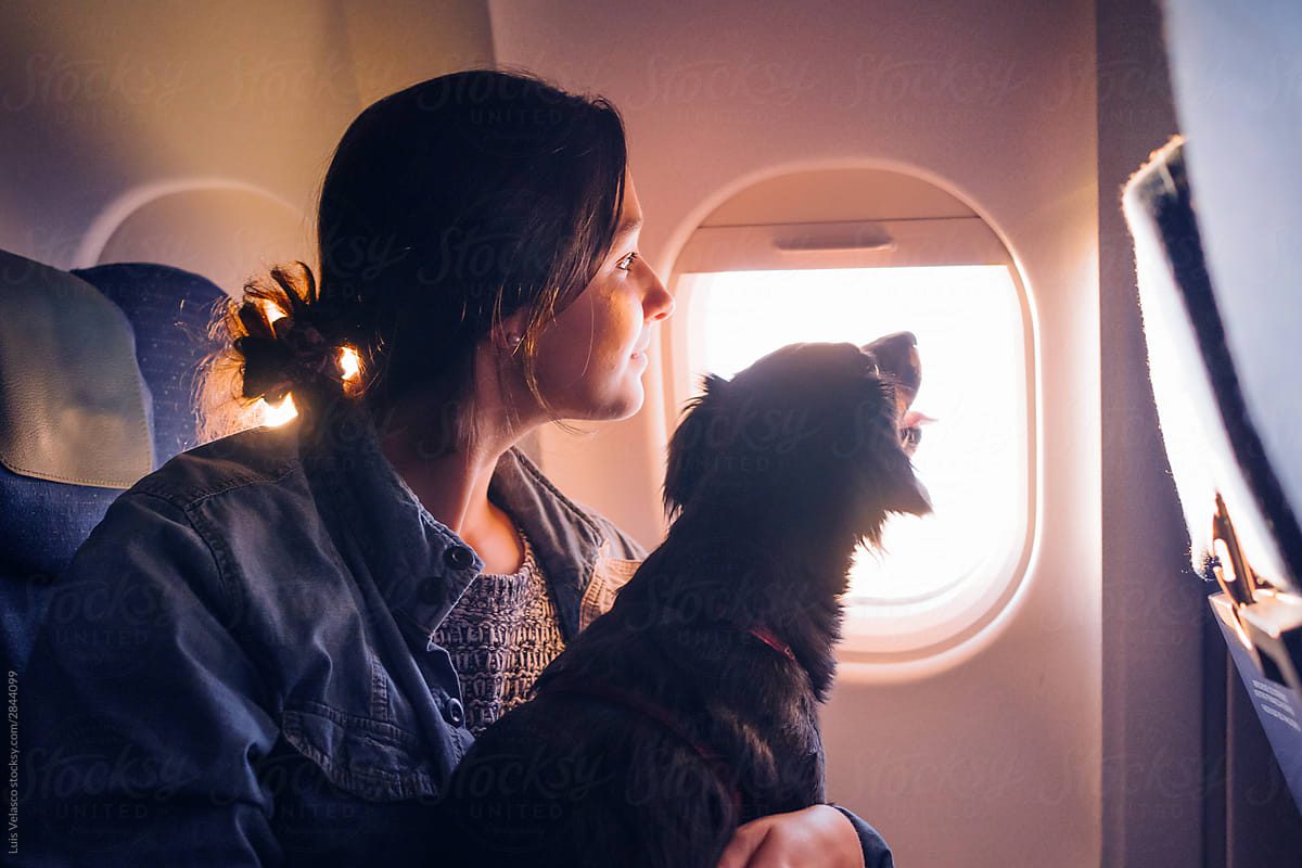 mulher-viajando-de-aviao-com-cachorro