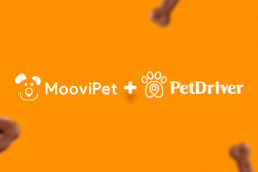 moovipet-petdriver-logo