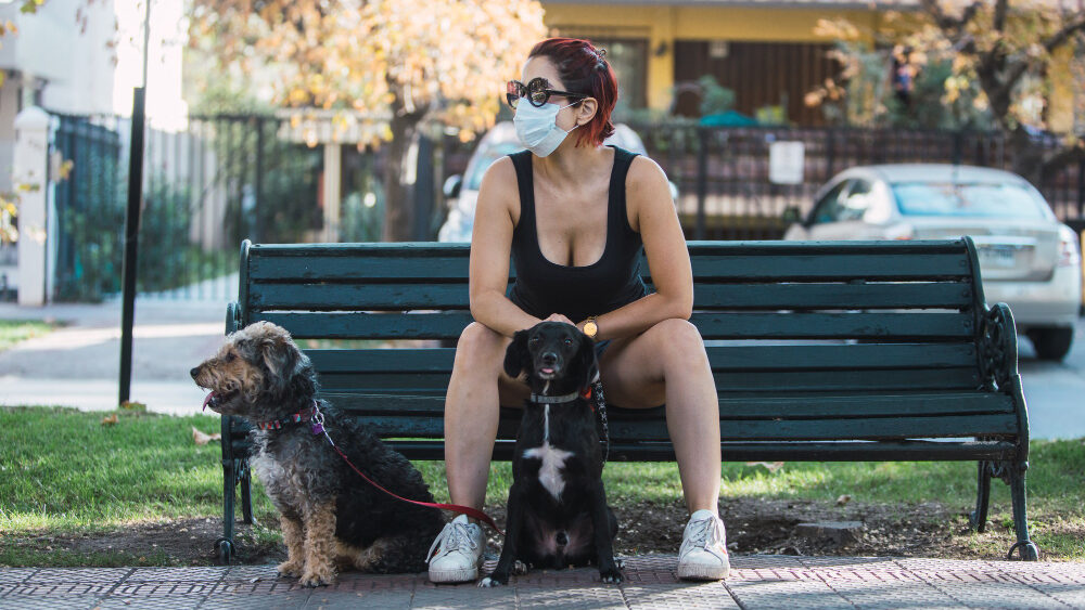 mulher-sentada-no-banco-passeando-com-dois-cachorros