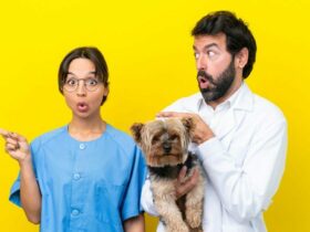 young-veterinarian-couple-with-dog-isolated-yellow-background-surprised-pointing-side