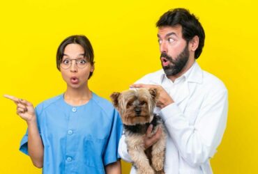 young-veterinarian-couple-with-dog-isolated-yellow-background-surprised-pointing-side