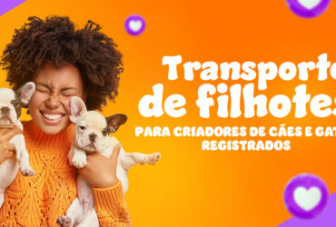 Transporte de Filhotes de Cães e Gatos para todo o Brasil