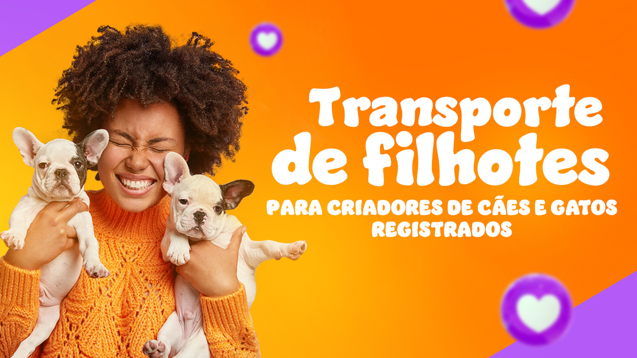 Transporte de Filhotes de Cães e Gatos para todo o Brasil